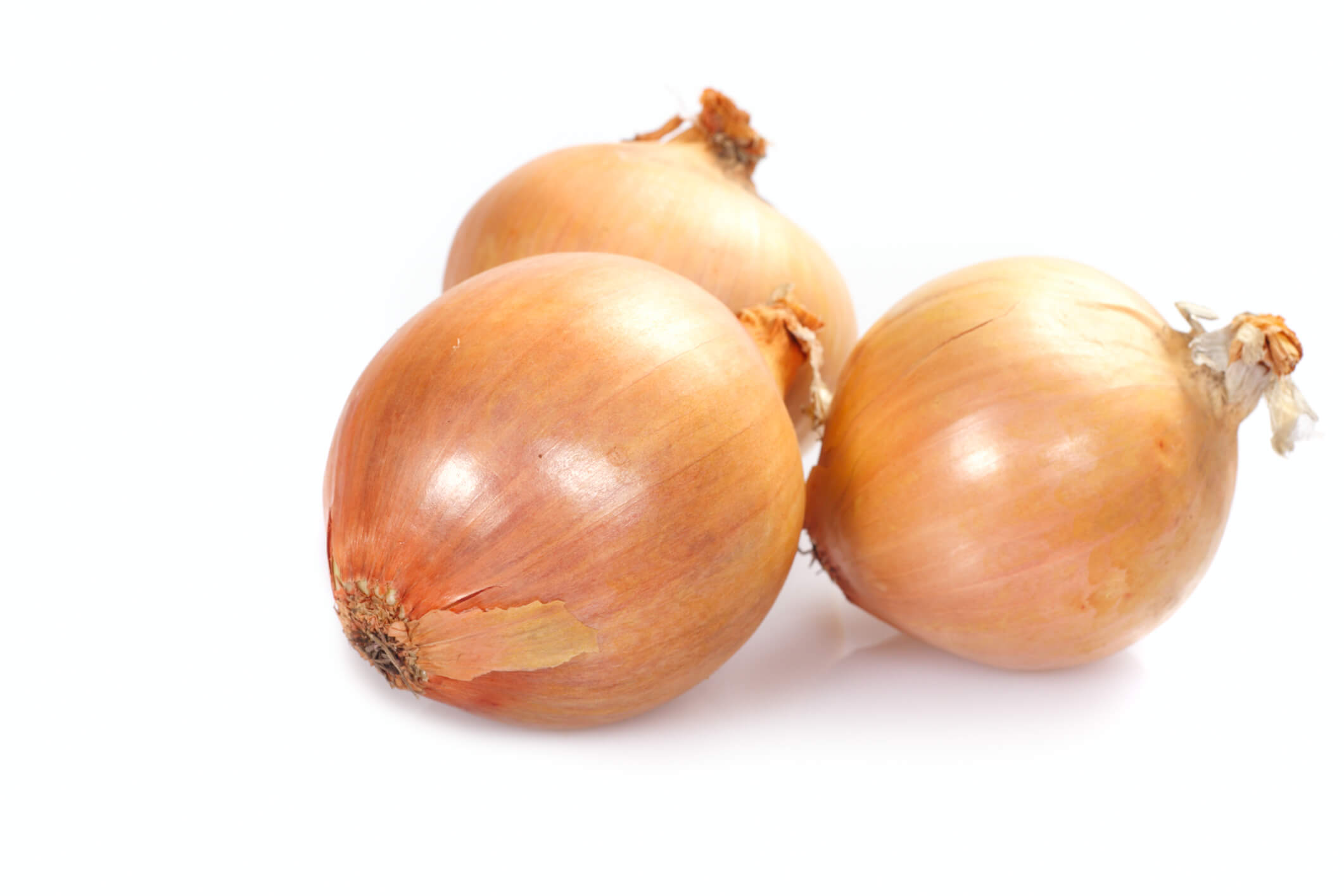 タマネギ みなとの野菜大辞典 タマネギ みなとの野菜大辞典