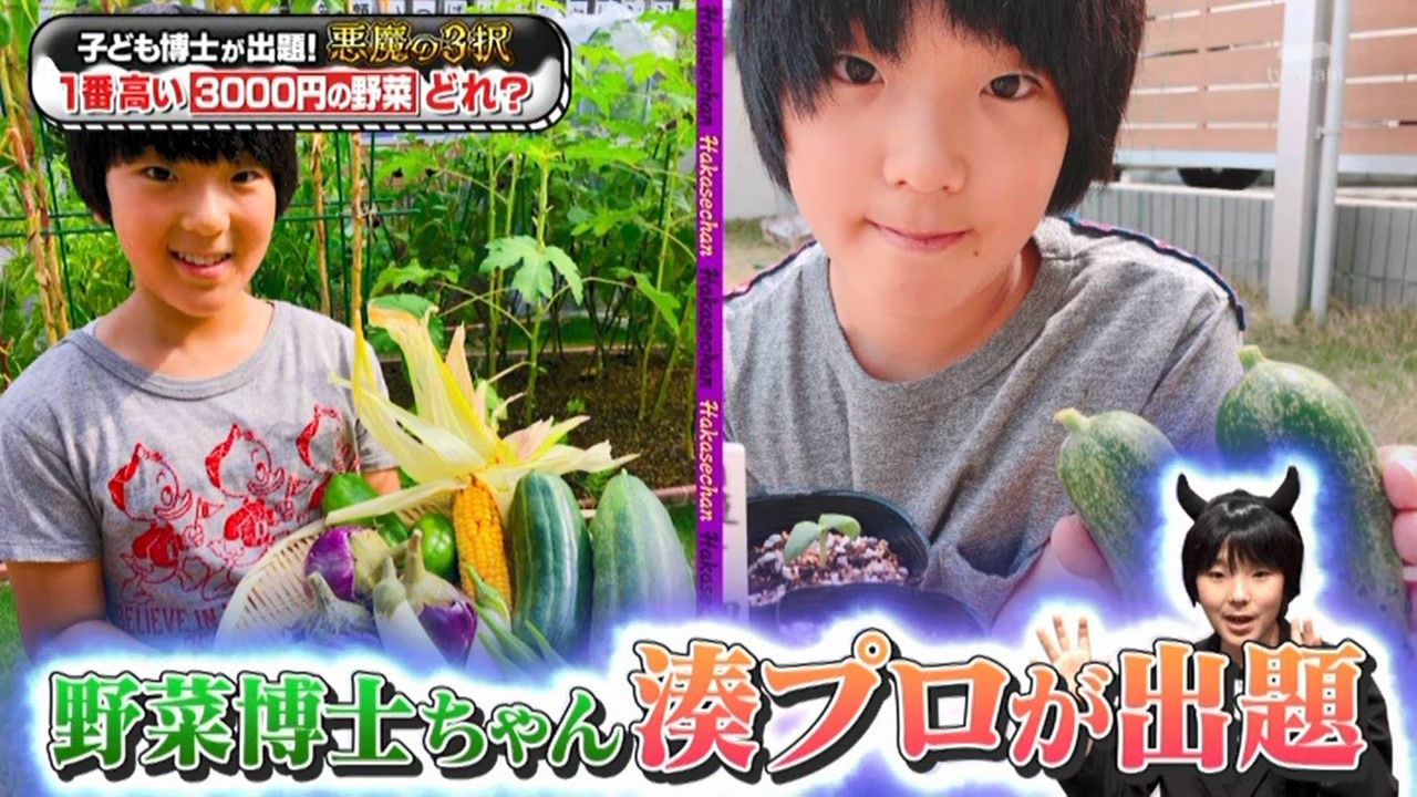 21年2月13日 博士ちゃん をご覧いただきありがとうございました みなとの野菜大辞典