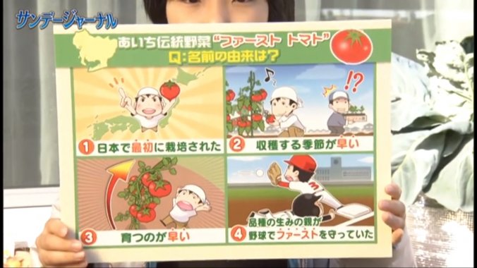 テレビ愛知 サンデージャーナル ご覧いただきありがとうございました みなとの野菜大辞典