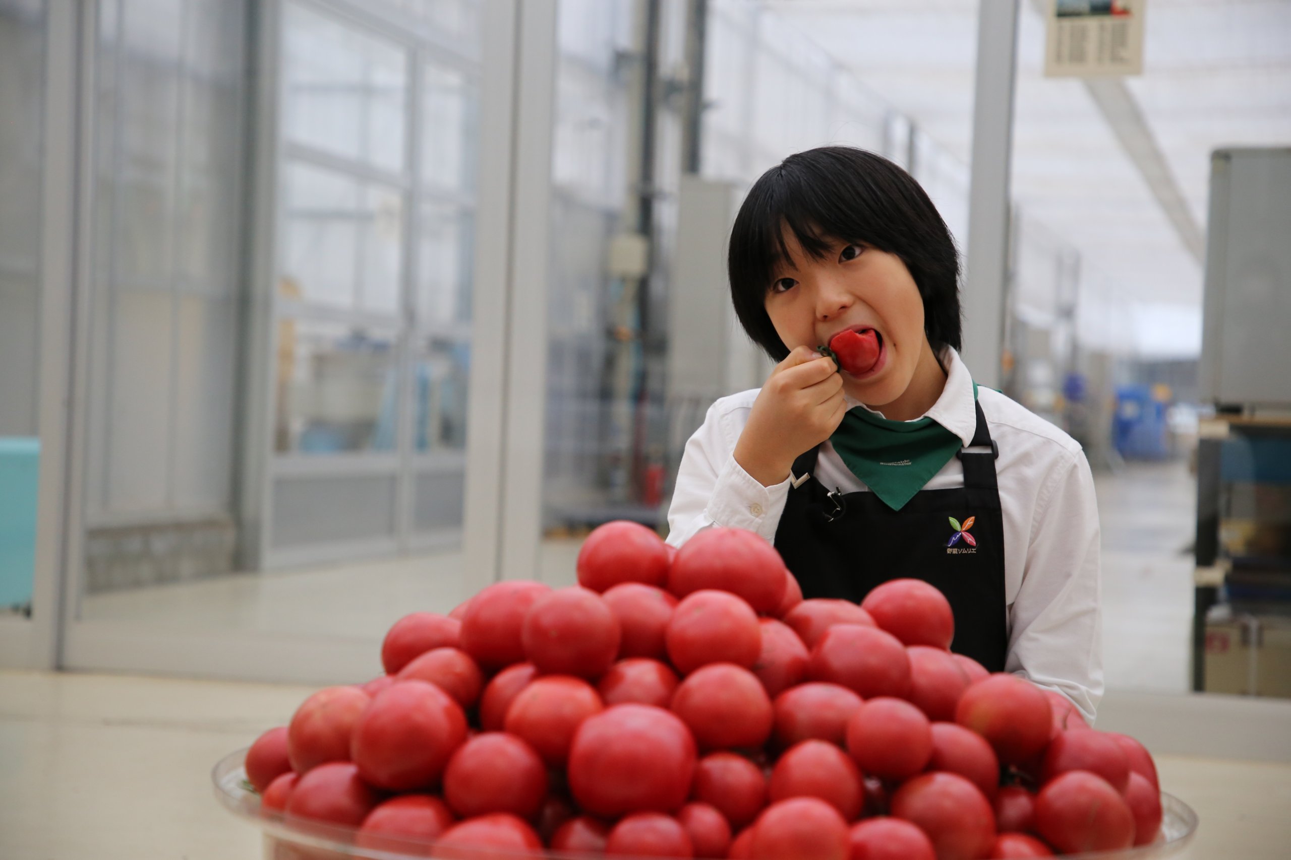 農研機構「春の一般公開」｜みなとの野菜大辞典