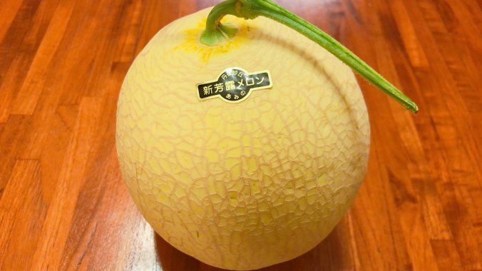 メロン みなとの野菜大辞典 メロン みなとの野菜大辞典