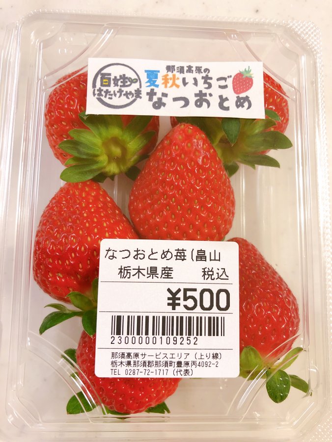 プレイバック 19年7月にご紹介したもの まとめ みなとの野菜大辞典