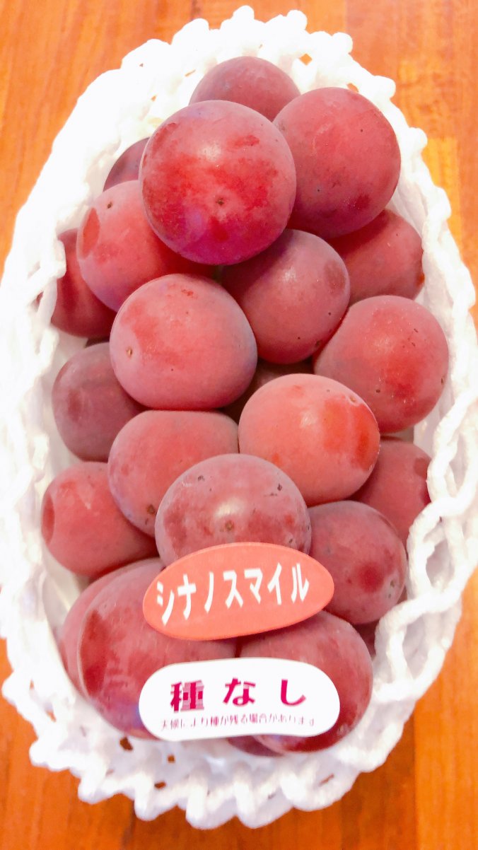 ブドウ 葡萄 みなとの野菜大辞典