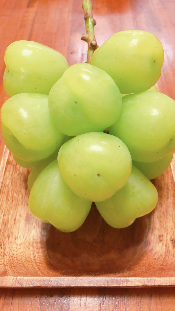 マスカット みなとの野菜大辞典 マスカット みなとの野菜大辞典