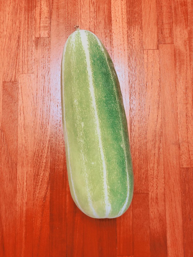 プレイバック 19年8月にご紹介したもの まとめ みなとの野菜大辞典