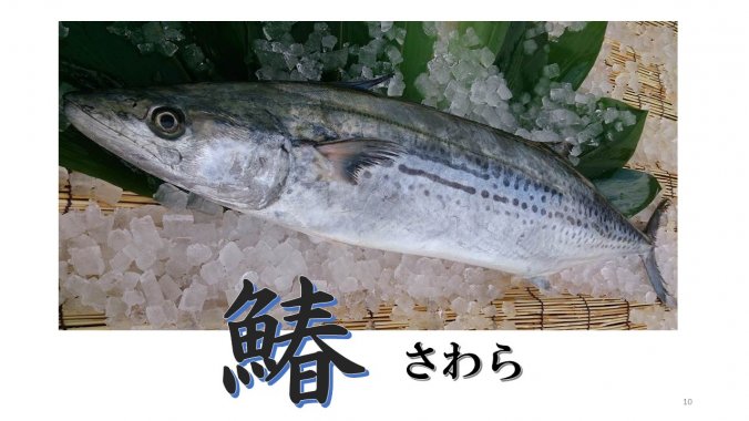 冬も美味しい鰆 サワラ みなとの野菜大辞典