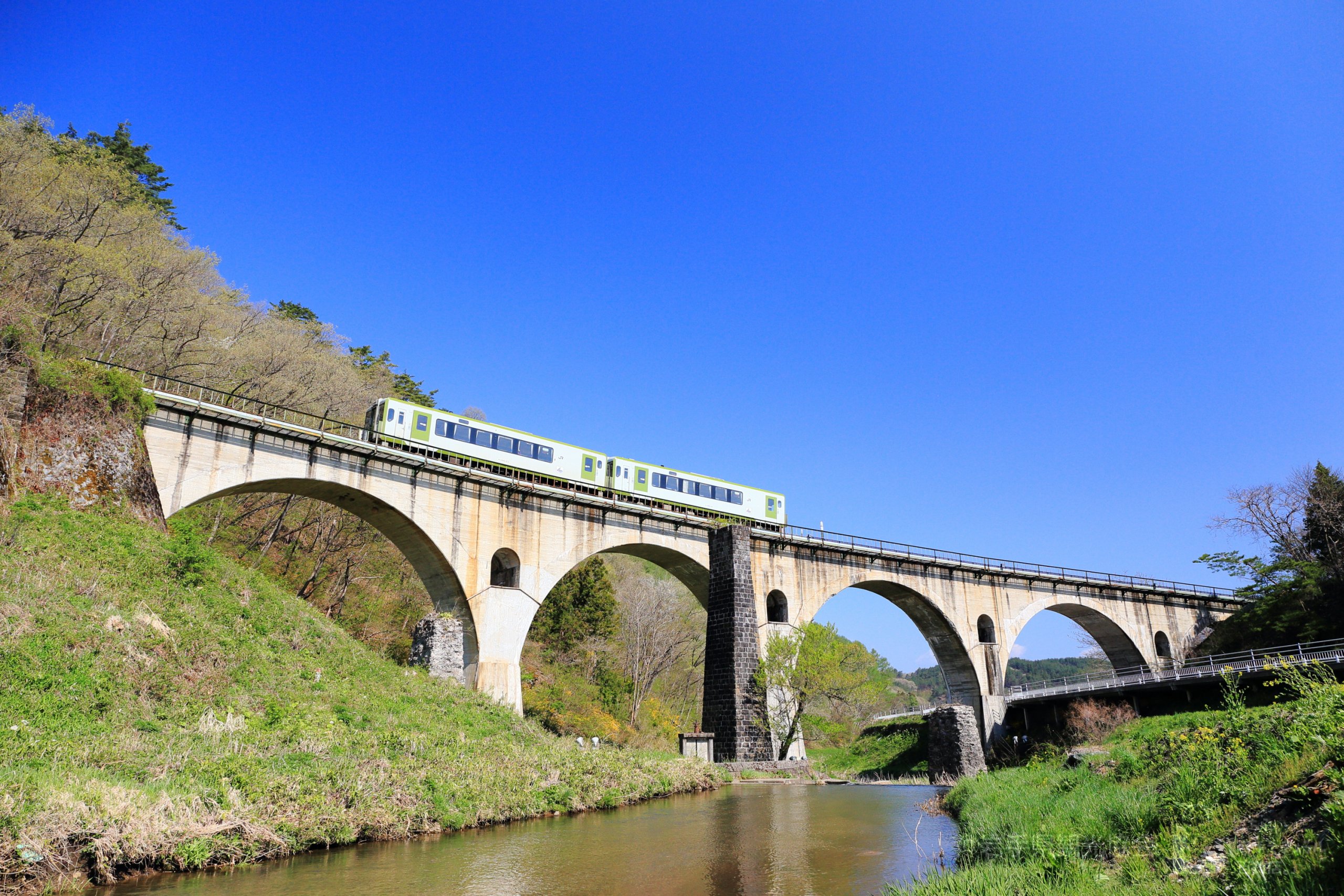 【中古】 岩手の山菜百科 ５版/岩手日報社/薊舎 岩手日報 - Wikipedia