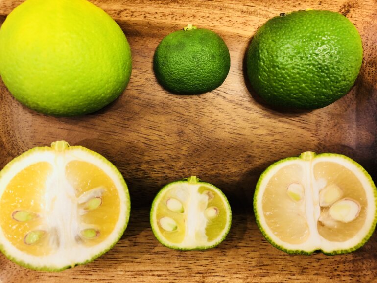 かぼす｜みなとの野菜大辞典