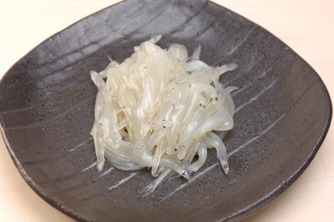 シラウオ(白魚)|みなとの野菜大辞典