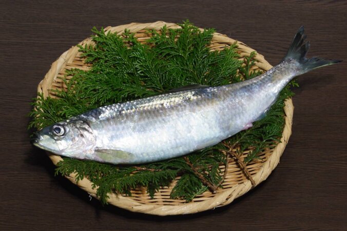 ニシン(鰊)｜みなとの野菜大辞典