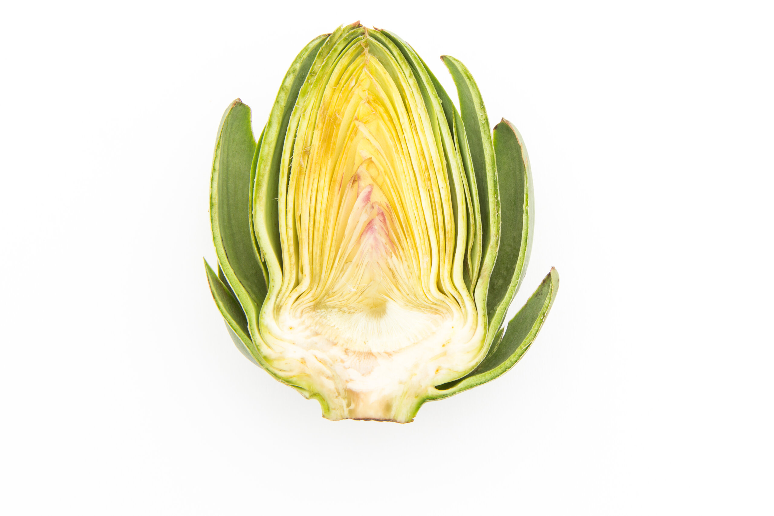 果菜 user_303446c0 ジューシー 収穫野菜PLUS(プラス) フルーツと青野菜 新発売