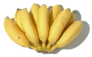 バナナ　モンキーバナナ