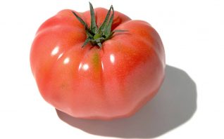 桃太郎　トマト