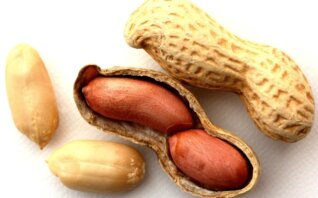 落花生