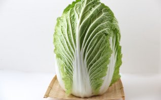 白菜