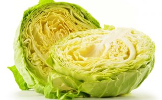 キャベツ