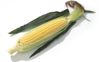 とうもろこし